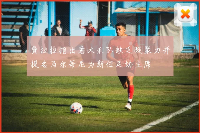 费拉拉指出意大利队缺乏凝聚力并提名马尔蒂尼为新任足协主席