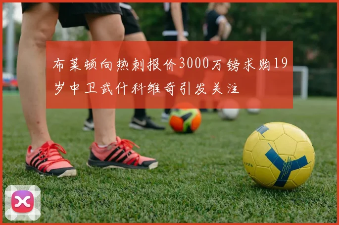布莱顿向热刺报价3000万镑求购19岁中卫武什科维奇引发关注