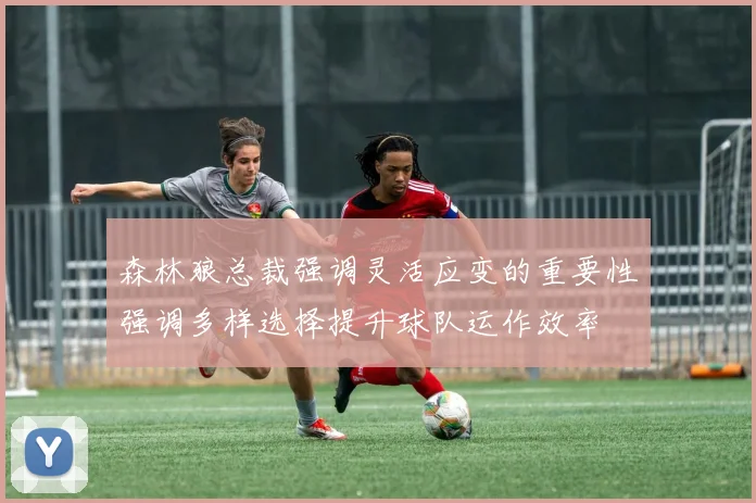 森林狼总裁强调灵活应变的重要性强调多样选择提升球队运作效率